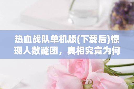 热血战队单机版图片