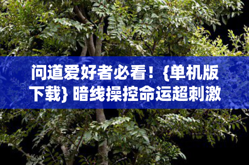 暗线操控命运超刺激图片