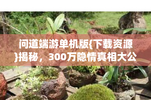 300万隐情真相大公开图片