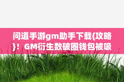 GM衍生数破圈钱包被吸图片