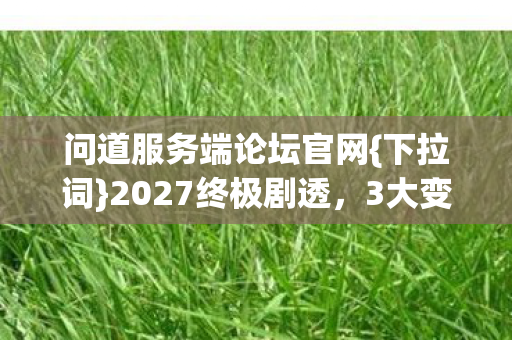 问道服务端论坛官网图片
