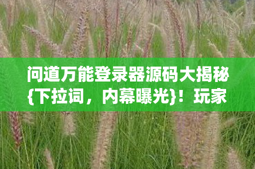 问道万能登录器源码大揭秘图片