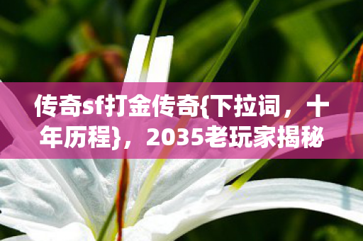 2035老玩家揭秘惊天秘密图片