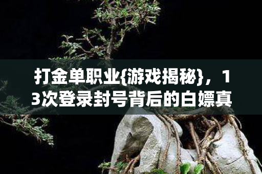13次登录封号背后的白嫖真相图片