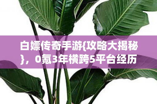 0氪3年横跨5平台经历图片
