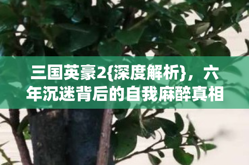 三国英豪2{深度解析},六年沉迷背后的自我麻醉真相 三国英豪2{深度解析},六年沉迷背后的自我麻醉真相