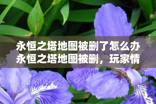永恒之塔地图被删引发玩家情感与游戏生态的深刻影响图片