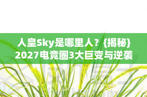人皇Sky是哪里人?{揭秘}2027电竞圈3大巨变与逆袭心得 人皇Sky是哪里人?{揭秘}2027电竞圈3大巨变与逆袭心得