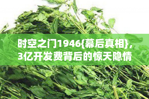 时空之门1946{幕后真相}，3亿开发费背后的惊天隐情