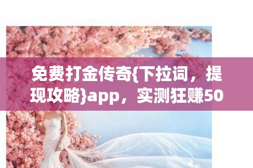 实测狂赚5000图片