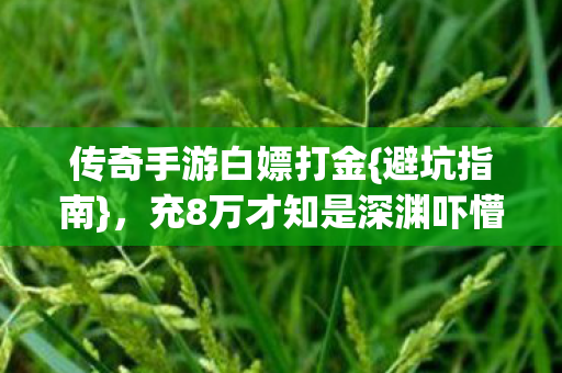 充8万才知是深渊吓懵我图片