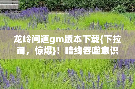 龙岭问道gm版本下载图片