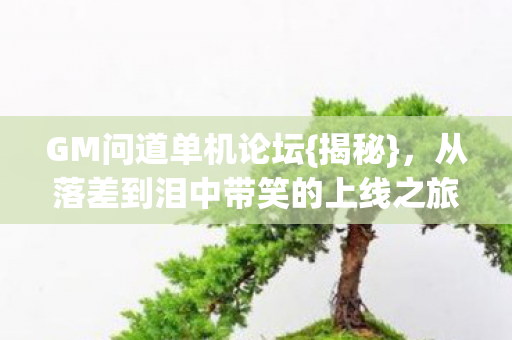 从落差到泪中带笑的上线之旅图片