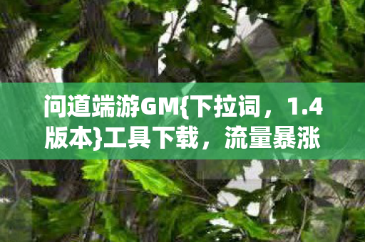流量暴涨背后的真相图片