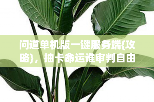 问道单机版一键服务端图片