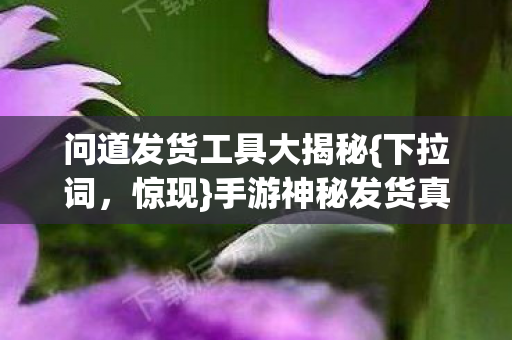 问道发货工具大揭秘图片