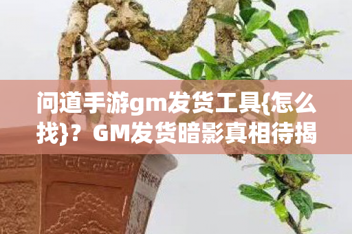 问道手游gm发货工具图片