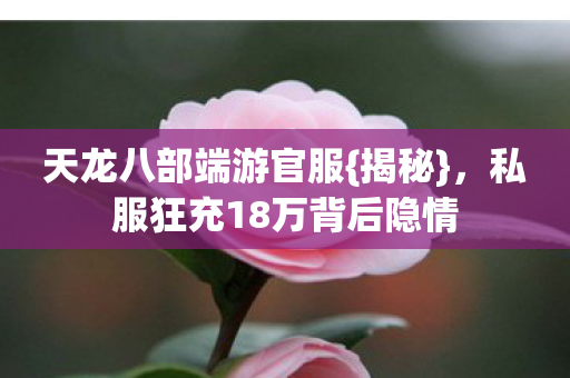 私服狂充18万背后隐情图片