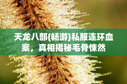 真相揭秘毛骨悚然图片