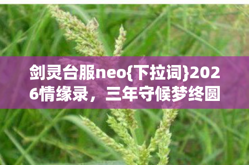 剑灵台服neo{下拉词}2026情缘录，三年守候梦终圆