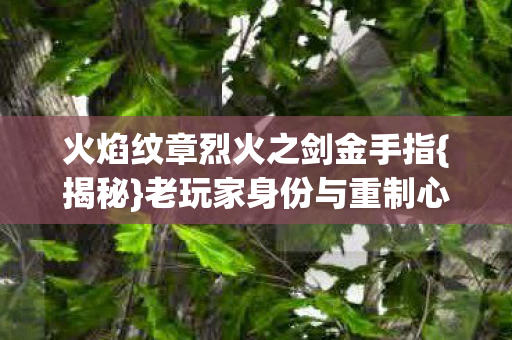 火焰纹章烈火之剑金手指{揭秘}老玩家身份与重制心酸路