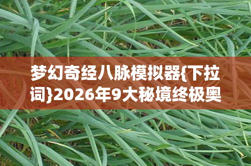 梦幻奇经八脉模拟器{下拉词}2026年9大秘境终极奥秘揭秘 梦幻奇经八脉模拟器{下拉词}2026年9大秘境终极奥秘揭秘