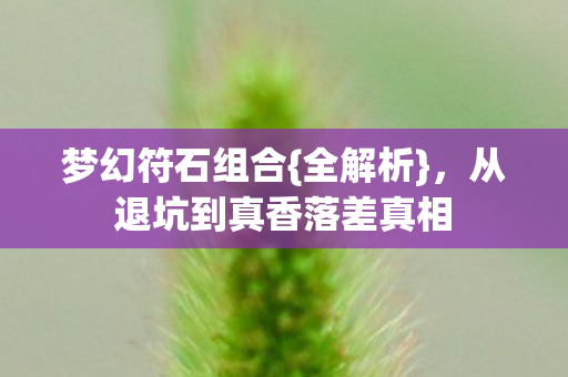 梦幻符石组合{全解析}，从退坑到真香落差真相