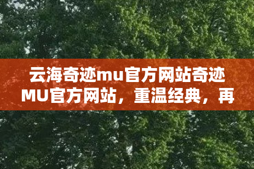 云海奇迹mu官方网站奇迹MU官方网站图片
