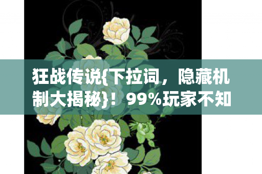 狂战传说{下拉词，隐藏机制大揭秘}！99%玩家不知的3秒逆天操作