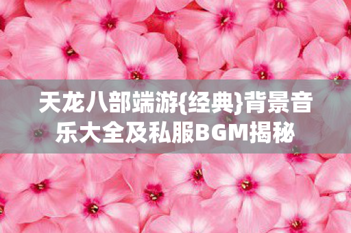 背景音乐大全及私服BGM揭秘图片