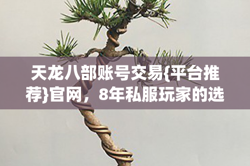 8年私服玩家的选择图片