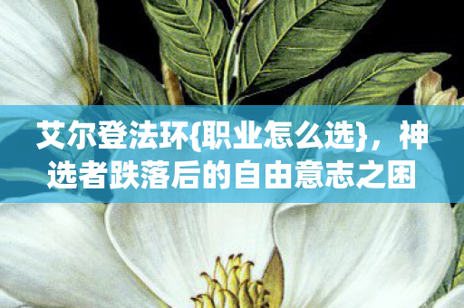 艾尔登法环{职业怎么选},神选者跌落后的自由意志之困 艾尔登法环{职业怎么选},神选者跌落后的自由意志之困