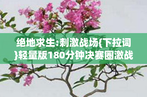 绝地求生:刺激战场{下拉词}轻量版180分钟决赛圈激战夜 绝地求生:刺激战场{下拉词}轻量版180分钟决赛圈激战夜