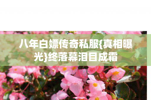 八年白嫖传奇私服图片
