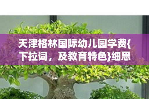 天津格林国际幼儿园学费图片