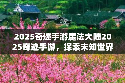 2025奇迹手游魔法大陆2025奇迹手游图片