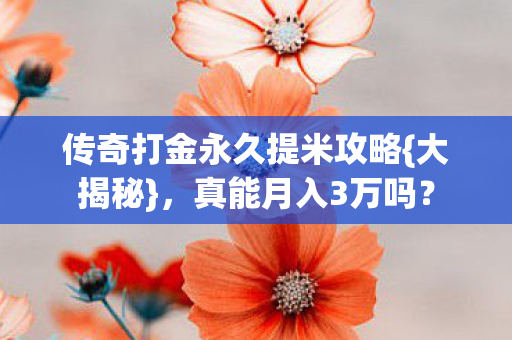 传奇打金永久提米攻略图片