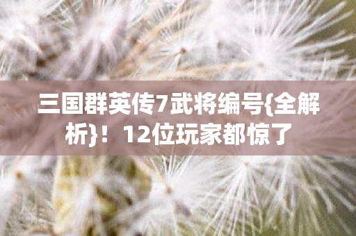 三国群英传7武将编号{全解析}！12位玩家都惊了