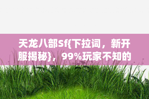 玩家不知的暗网江湖图片