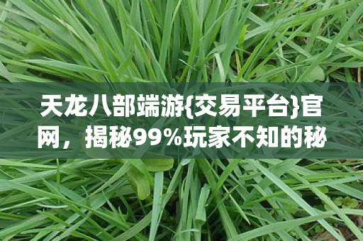 玩家不知的秘密图片
