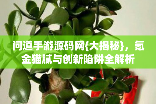 氪金猫腻与创新陷阱全解析图片