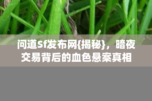 暗夜交易背后的血色悬案真相图片