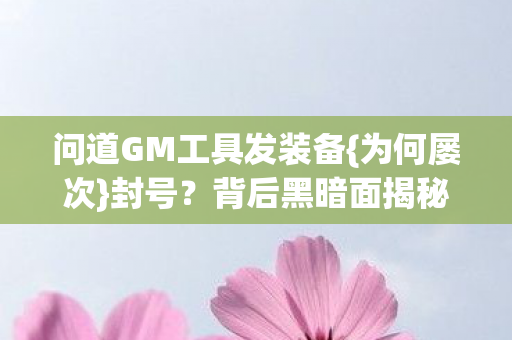 问道GM工具发装备图片