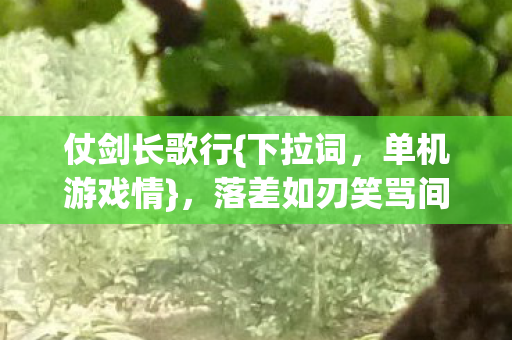 落差如刃笑骂间再启征程图片