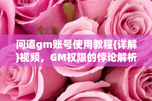 问道gm账号使用教程图片