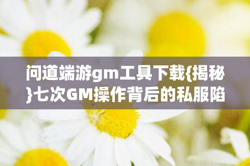 七次GM操作背后的私服陷阱图片