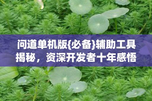 资深开发者十年感悟图片