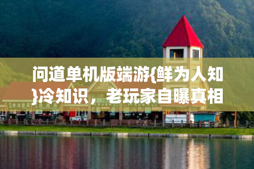 问道单机版端游图片