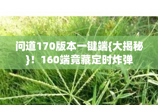 问道170版本一键端图片