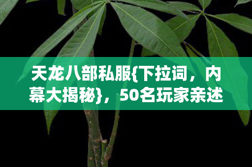50名玩家亲述暗藏玄机图片